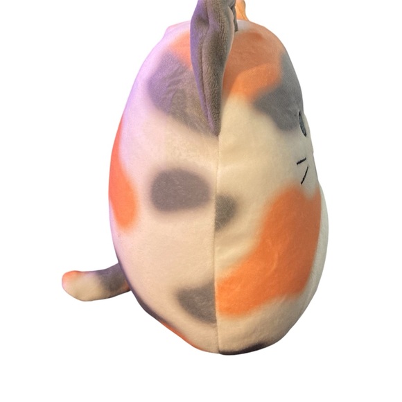 Sold ‼️Squishmallows 8-inch Tahoe Tortoiseshell Cat - Picture 7 of 7